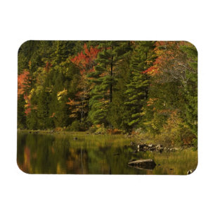 Magnet Flexible États-Unis; Maine; Parc national d'Acadia. Reflets