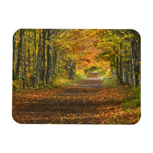 Magnet Flexible États-Unis, Michigan, Upper Peninsula. Route vers (Horizontal)