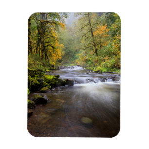 Magnet Flexible États-Unis, Oregon, Columbia River Gorge, Tanner C