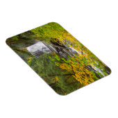 Magnet Flexible États-Unis, Oregon, Silver Falls State Park 2 (Côté Droit)