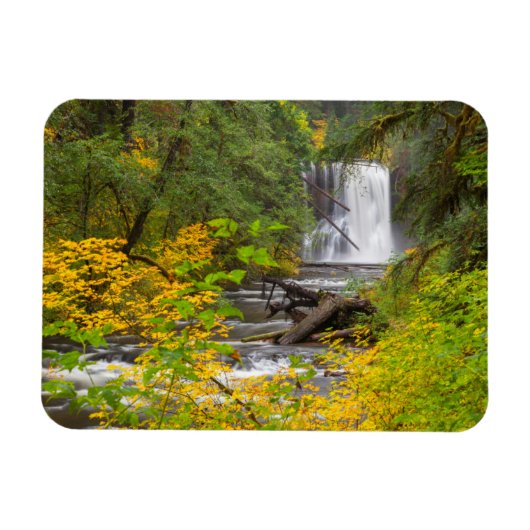 Magnet Flexible États-Unis, Oregon, Silver Falls State Park 2 (Horizontal)