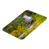 Magnet Flexible États-Unis, Oregon, Silver Falls State Park 2 (Côté Gauche)