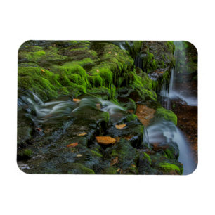 Magnet Flexible États-Unis, Pennsylvanie, Benton, Ricketts Glen St