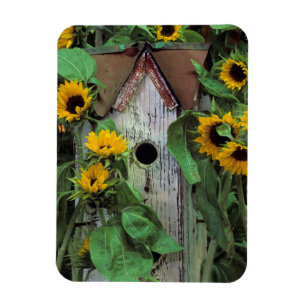 Magnet Flexible États-Unis, Pennsylvanie. Maison d'oiseau et jardi