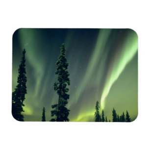 Magnet Flexible États-Unis, région de Fairbanks, centre de l'Alask
