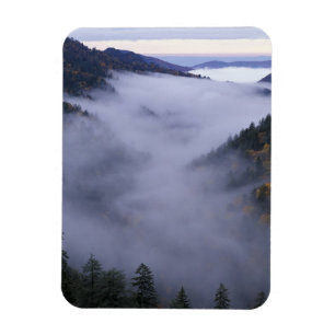 Magnet Flexible États-Unis, Tennessee. Great Smokey Mountains Nati