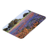 Magnet Flexible États-Unis, Texas, Llano. Bluebonnets et redbonnet (Côté Gauche)