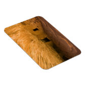 Magnet Flexible États-Unis, Utah, Cedar Mesa, Mule Canyon. Grès (Côté Droit)