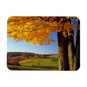 Magnet Flexible États-Unis, Vermont. Paysage agricole près de Sout