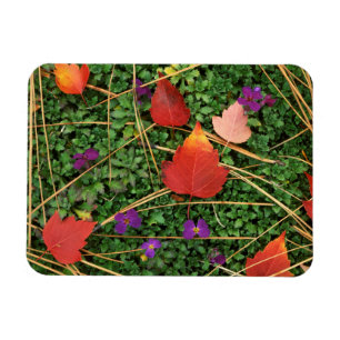 Magnet Flexible États-Unis, Washington, comté de Spokane, Feuilles