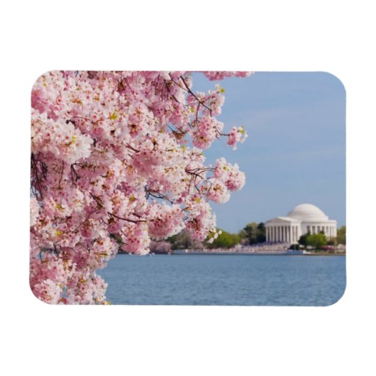 Magnet Flexible États-Unis, Washington DC, Cherry tree (Horizontal)