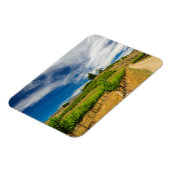 Magnet Flexible États-Unis, Washington, Lac Chelan. Vignoble 3 (Côté Gauche)