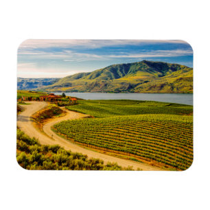 Magnet Flexible États-Unis, Washington, Lake Chelan. Benson Vineya