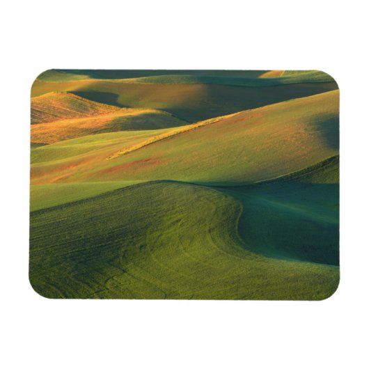 Magnet Flexible États-Unis, Washington, Palouse, comté de Whitman (Horizontal)