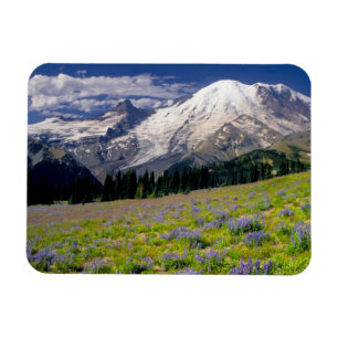 Magnet Flexible États-Unis, Washington, Parc national du mont Rain