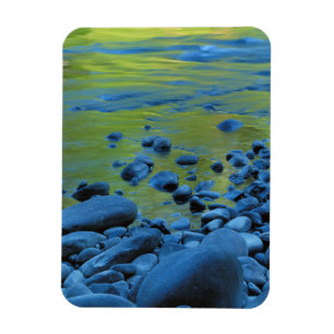 Magnet Flexible États-Unis, Washington, Parc national Olympique 4