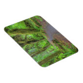 Magnet Flexible États-Unis, Washington, Parc National Olympique, H (Côté Droit)