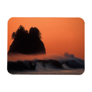 Magnet Flexible États-Unis, Washington, Parc national Olympique, M