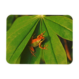 Magnet Flexible États-Unis, Washington, Seattle, Discovery Park 2