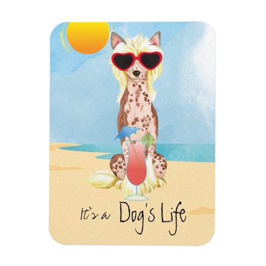 Magnet Flexible Été Chinois arrêté (Vertical)