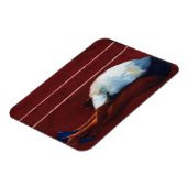 Magnet Flexible Étendre 2011 (Côté Gauche)