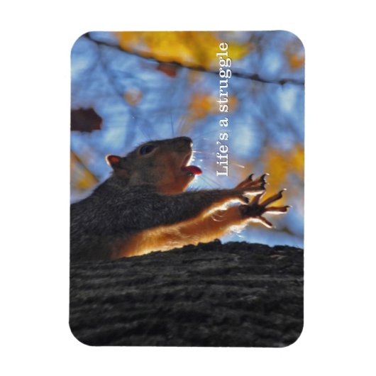 Magnet Flexible Étiquette 2 (Vertical)