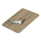 Magnet Flexible Étirement de basculement neigeux (Côté Gauche)