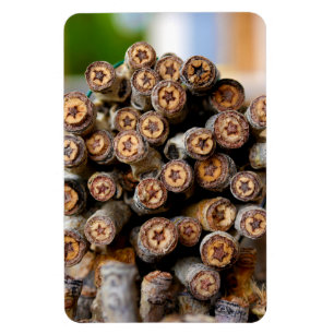 Magnet Flexible Etoiles le long du Rio Grande Cotton Wood Trees