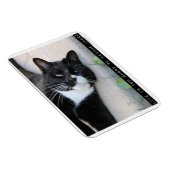 Magnet Flexible Être Jaded Encourageant Conseil Chat Slogan (Côté Droit)