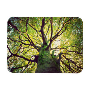 Magnet Flexible Étreindre d'arbre