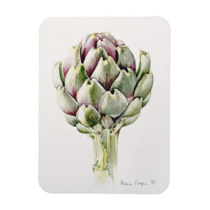 Magnet Flexible Étude 1993 d'artichaut