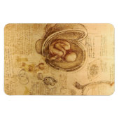Magnet Flexible Étude du foetus de bébé par Leonardo da Vinci (Horizontal)