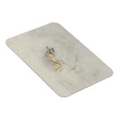 Magnet Flexible Étude d'un renard croustillant, face à droite vers (Côté Droit)