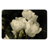 Magnet Flexible Étude d'une fleur de pivoine (Horizontal)
