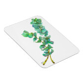 Magnet Flexible Eucalyptus 01 (Côté Droit)