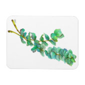Magnet Flexible Eucalyptus 01 (Horizontal)