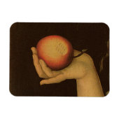 Magnet Flexible Eve 1528 (Horizontal)