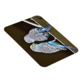 Magnet Flexible Évoquer les Budgies (Côté Droit)
