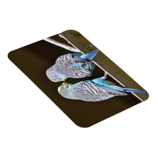 Magnet Flexible Évoquer les Budgies (Côté Droit)