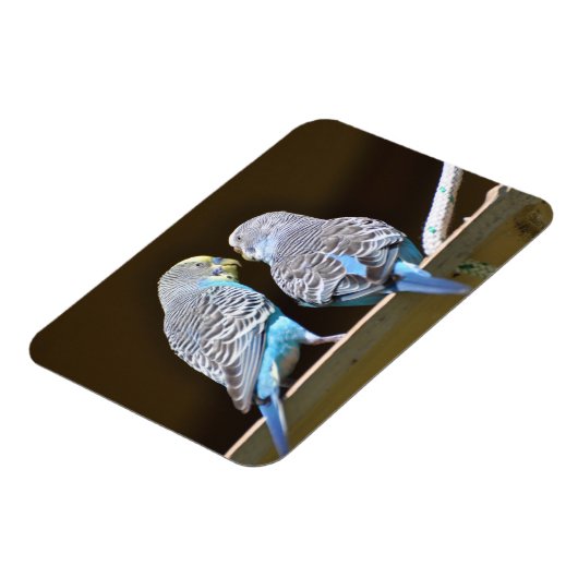 Magnet Flexible Évoquer les Budgies (Côté Gauche)