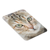 Magnet Flexible Face de chat (Côté Droit)