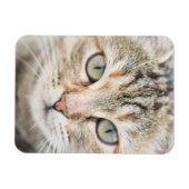 Magnet Flexible Face de chat (Horizontal)