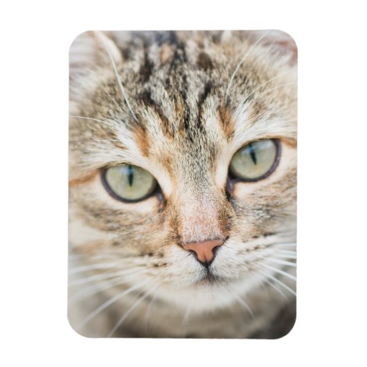 Magnet Flexible Face de chat (Vertical)