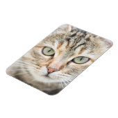 Magnet Flexible Face de chat (Côté Gauche)