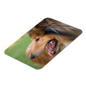 Magnet Flexible Face de collier rugueuse (Côté Gauche)