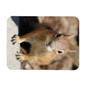 Magnet Flexible Face d'écureuil (Horizontal)