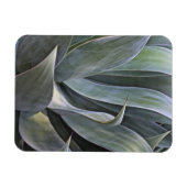 Magnet Flexible Faded Succulant Details, 2017 (Horizontal)