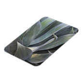 Magnet Flexible Faded Succulant Details, 2017 (Côté Gauche)