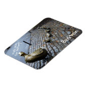 Magnet Flexible Faire Place Aux Colliers (Côté Gauche)