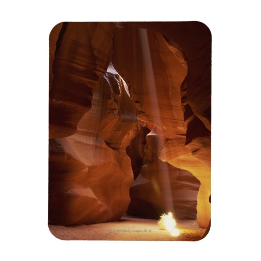 Magnet Flexible Faisceau de soleil frappant les algues sur le sol (Vertical)